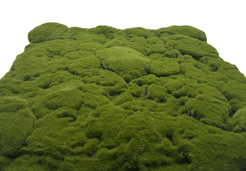 Modular Wall Design Moss Forest Green