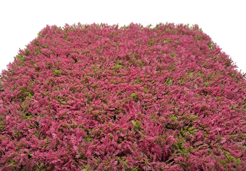 Modular Wall Design Flora Pink Design Grass