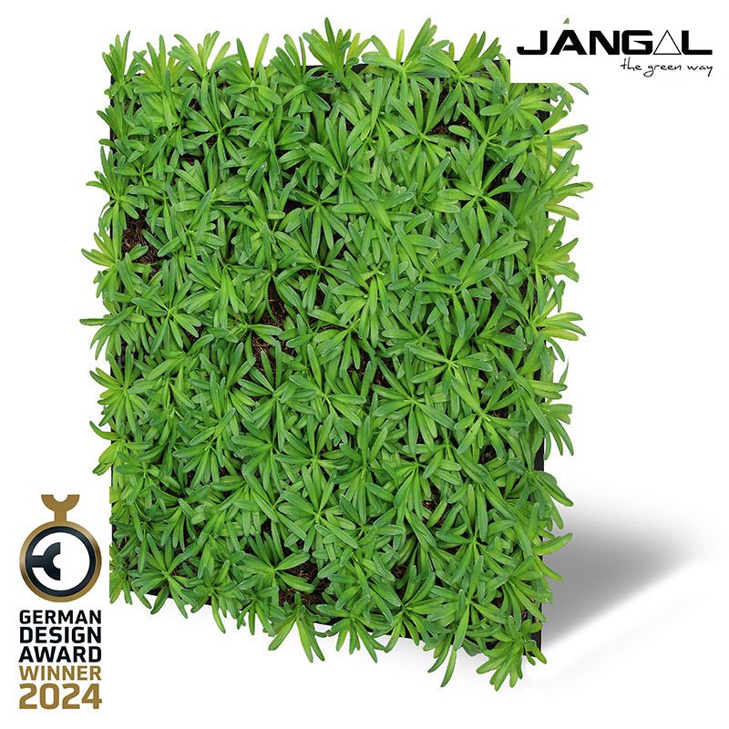 Modular Wall Nature Design Flora Podocarpus Tea Tree