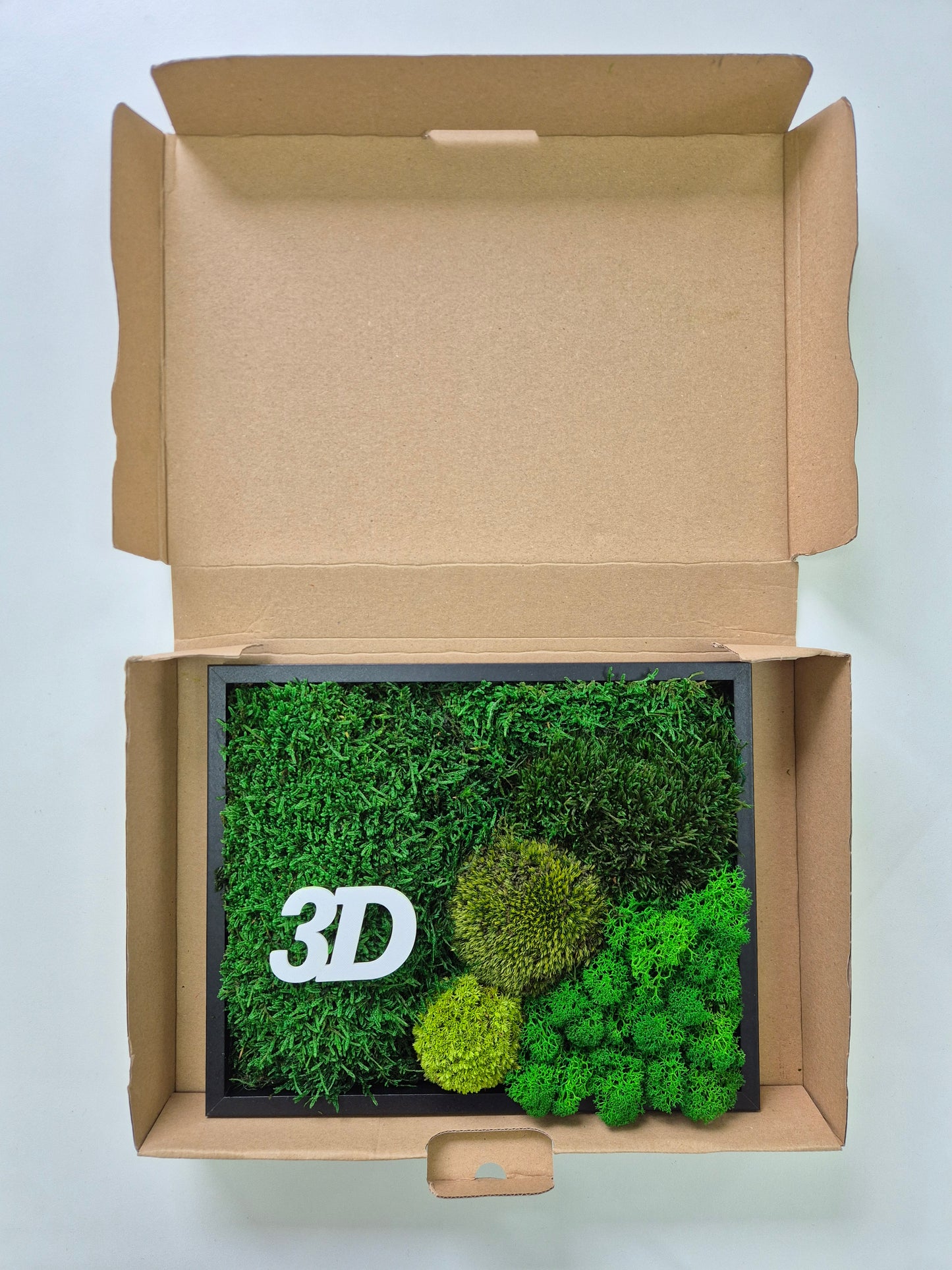 Moos Musterbox