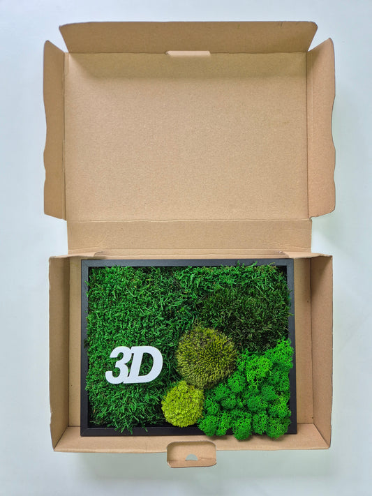 Moos Musterbox