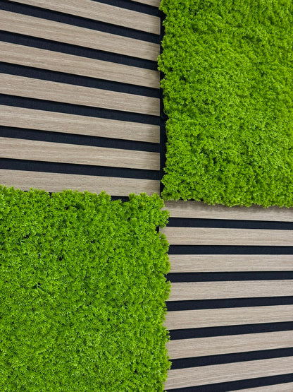 Modular Wall Bundle (Davert Oak/Design Moss Lime Green)