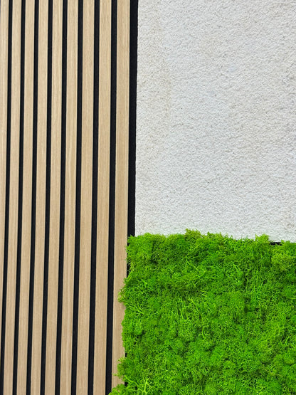 Modular Wall Bundle (Fanal Oak/Ivory Sandstone/ Real Moss Bright Green)