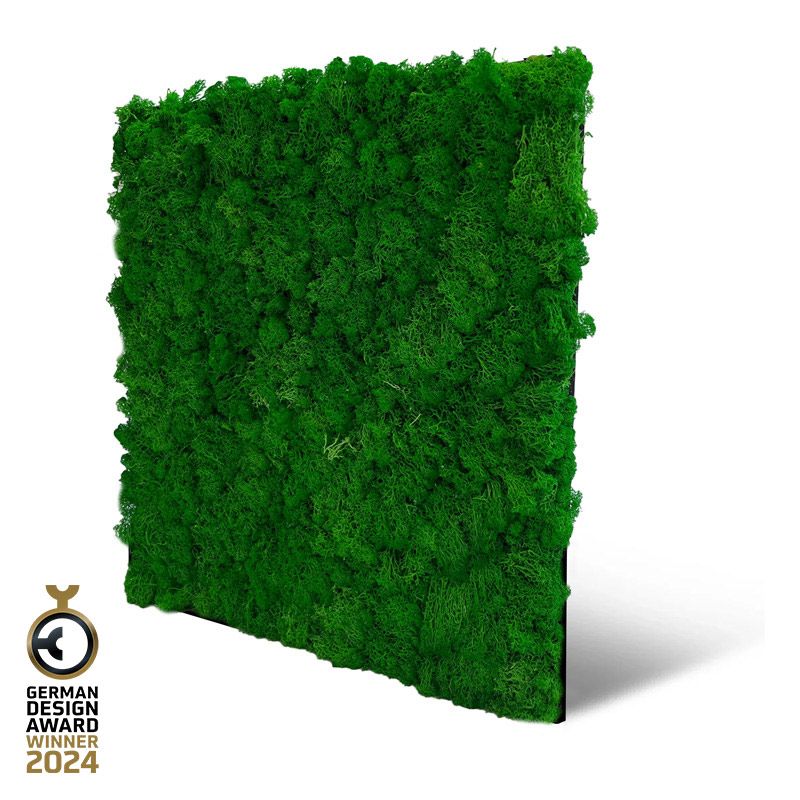 Modular Wall Real Moss Nature Green