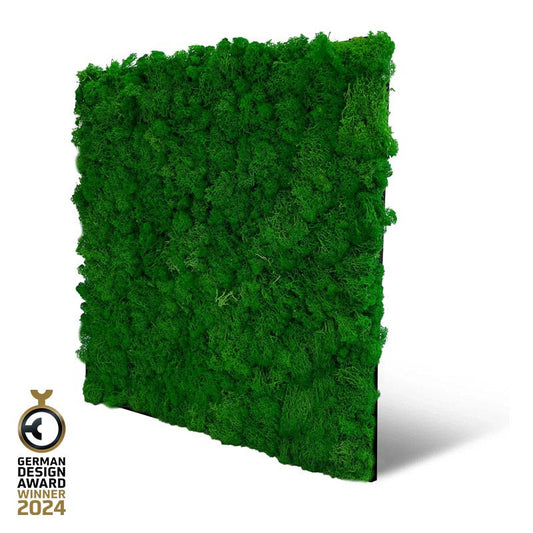 Modular Wall Real Moss Nature Green