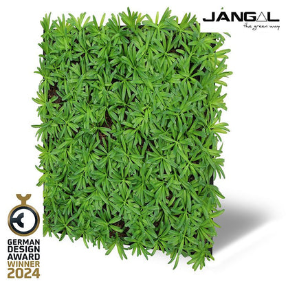 Modular Wall Nature Design Flora Podocarpus Tea Tree