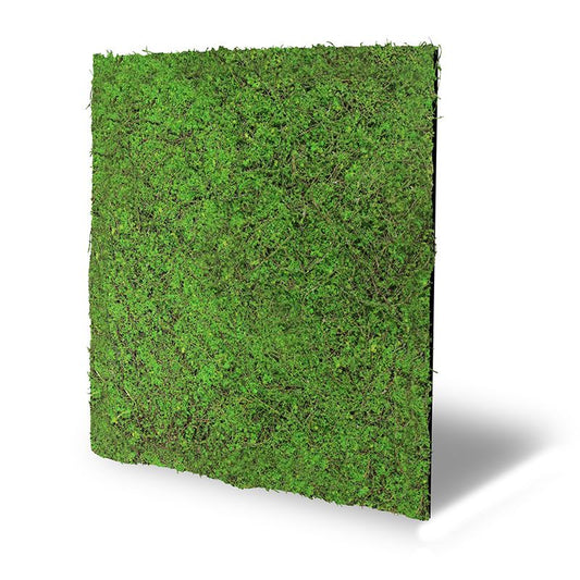 Modular Wall Nature Design Flora Forest Green Ancient Tree