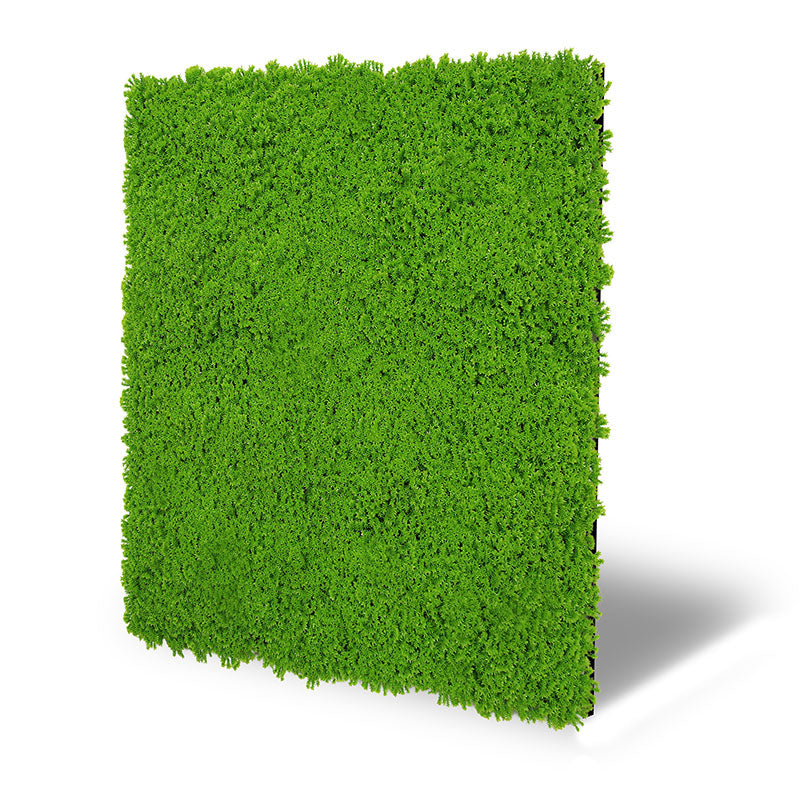 Modular Wall Design Moss Lime Green
