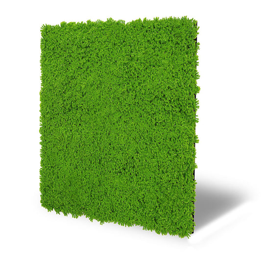 Modular Wall Design Moss Lime Green